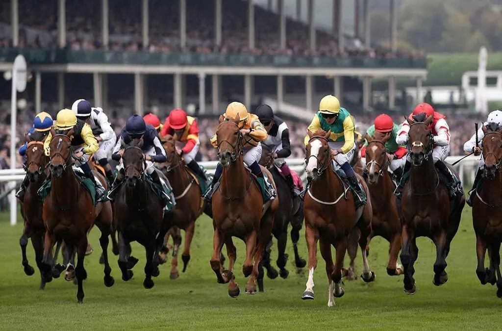 Vista de la larga recta de llegada del hipódromo de Ascot con caballos compitiendo hacia la meta