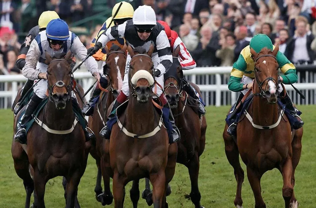 Caballos subiendo la famosa colina final de Cheltenham en intensa competición