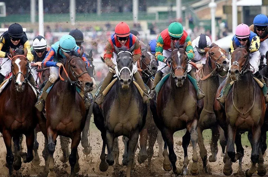Veinte caballos saliendo de los cajones de partida en el Kentucky Derby en Churchill Downs