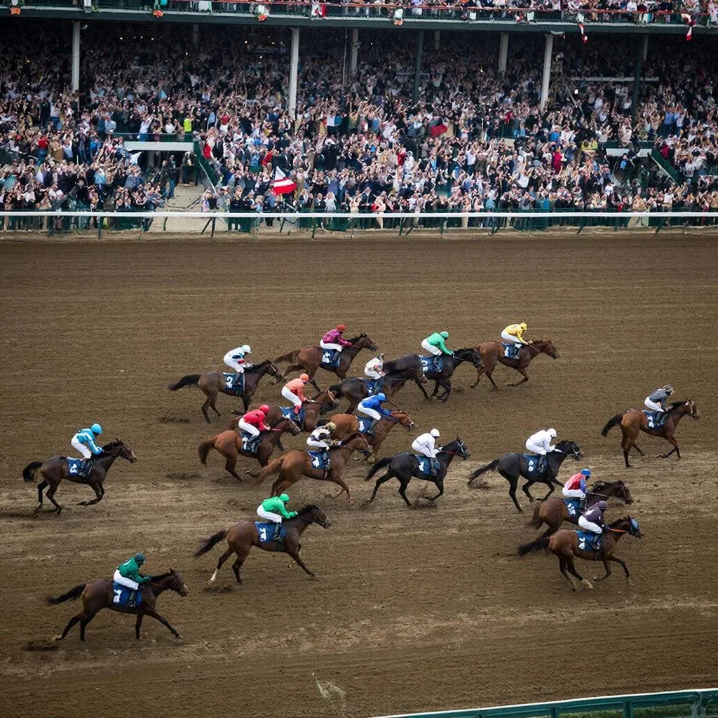 Caballos de carreras alineados en las puertas de salida mostrando diferentes posiciones de partida en hipódromo profesional