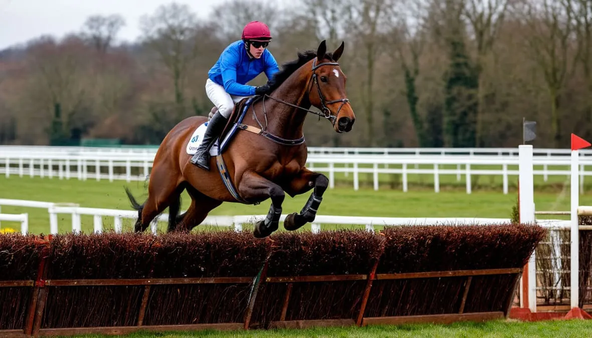 Caballo y jockey saltando una valla de steeplechase durante carrera de obstáculos